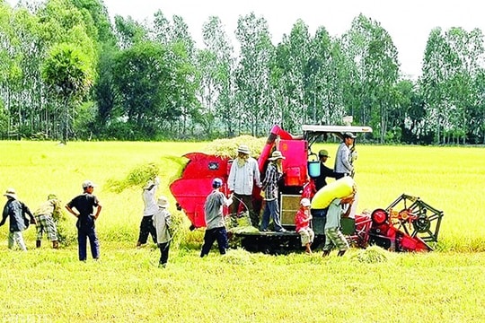 Xuất khẩu gạo hứa hẹn khởi sắc