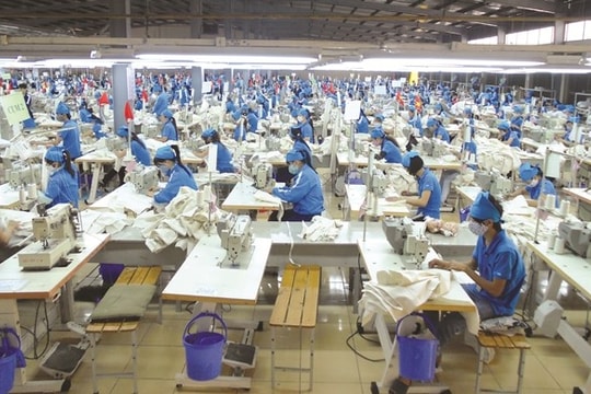 Kinh tế tư nhân: Động lực quan trọng phát triển kinh tế