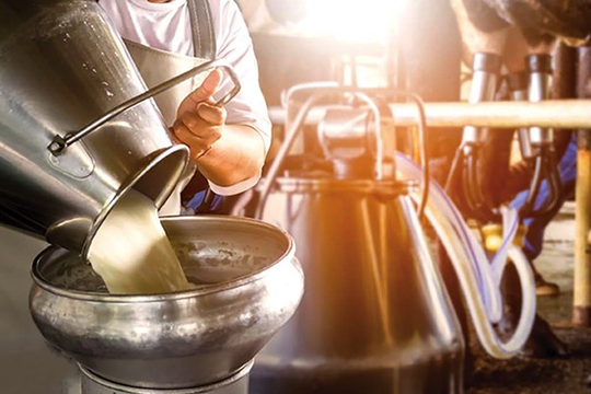 Kinh nghiệm từ các doanh nghiệp sữa trên thế giới