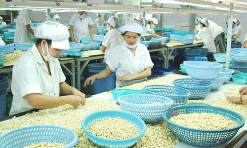 Xuất khẩu hạt điều: Sự đối lập từ hai thị trường lớn nhất của Việt Nam