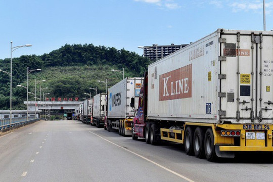 Xe container thanh long ùn ứ tại cửa khẩu Lào Cai đã được giải quyết