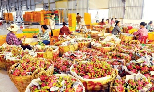 Nông sản và các nhóm hàng chủ lực của Việt Nam xuất khẩu đi đâu?