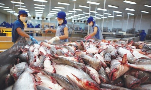 Mỹ công nhận chuẩn an toàn thực phẩm của cá tra Việt Nam