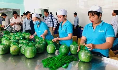 Đưa hàng Việt vào thị trường Thái