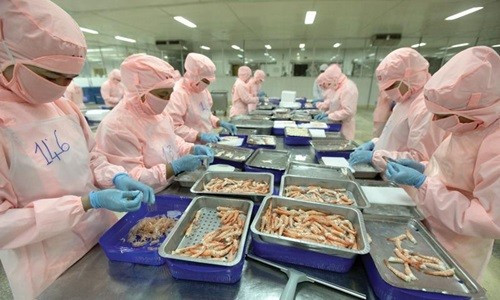 Doanh nghiệp khó xây dựng chuỗi cung ứng do thiếu vốn