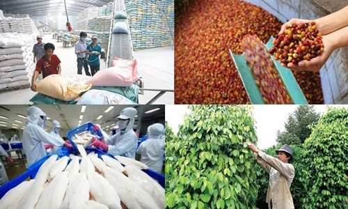 Khó khăn bủa vây, xuất khẩu nông sản đặt mục tiêu 42 tỷ USD