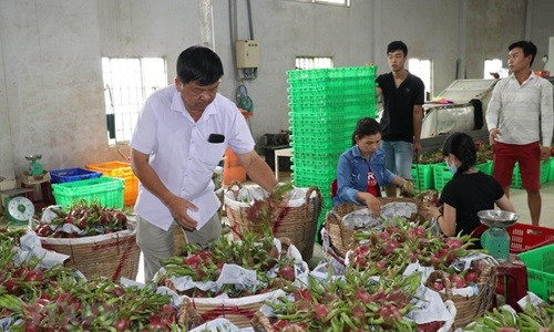 EVFTA thêm cơ hội cho xuất khẩu nông sản