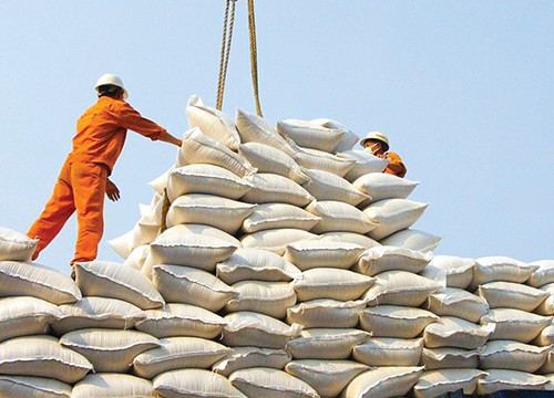 Đưa thương hiệu gạo Việt ra thế giới