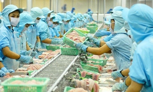 Xuất khẩu chưa quá khó