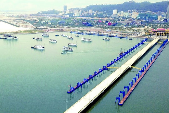 Cảng tê liệt vì tàu khách nối nhau hủy chuyến