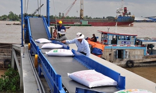 Năm 2020, Việt Nam có thể xuất 6,5-6,7 triệu tấn gạo