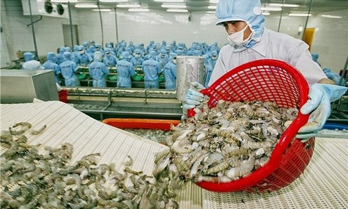 VASEP: Tôm Việt Nam có nhiều cơ hội xuất khẩu hậu COVID-19