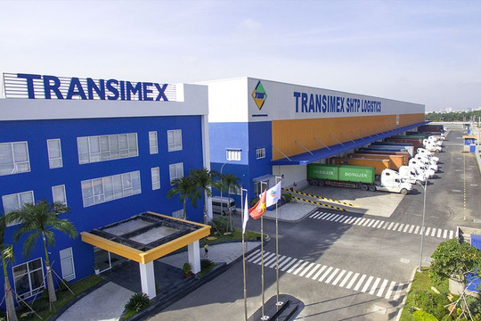 Transimex: Nhà cung cấp giải pháp logistics hàng đầu Việt Nam
