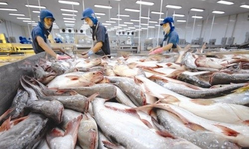 Đẩy mạnh tiêu thụ nội địa các sản phẩm cá tra