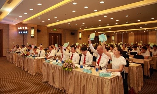 Dự kiến doanh thu hợp nhất của năm 2020 là 1.716 tỷ đồng