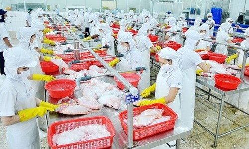674 doanh nghiệp thủy sản Việt Nam được cấp phép xuất khẩu vào Đài Loan