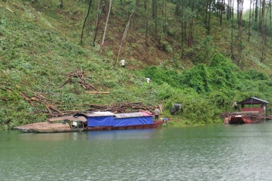 Khoảng trống lớn trong quản lý tàu thuyền loại nhỏ