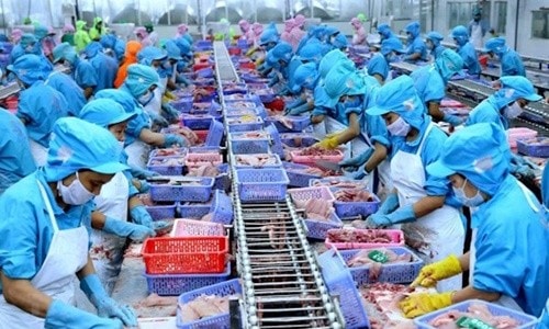 Cú hích từ EVFTA sau 1 tháng