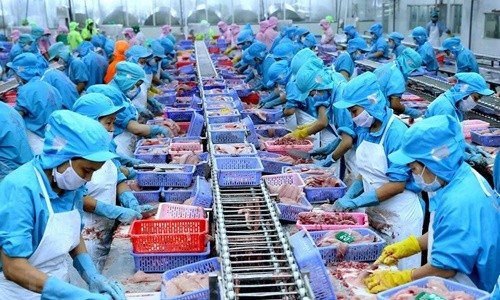 Xuất khẩu thủy sản Việt Nam vào thị trường châu Âu: Gỡ “rào cản” để mở rộng thị phần