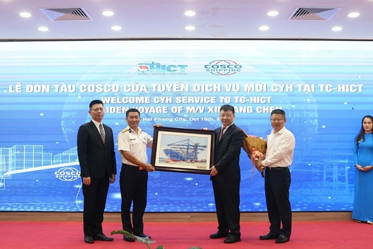 Tuyến dịch vụ nội Á với tàu có sức chở lớn