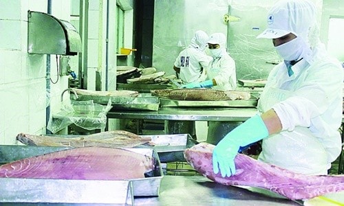 EVFTA đang được khai thác hiệu quả