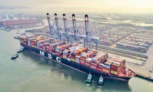 Hàng container xuất khẩu giảm giữa khủng hoảng container rỗng