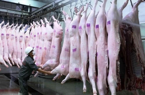 Tập đoàn của Nga đầu tư nhà máy chế biến thịt lợn 1,4 tỷ USD tại Thanh Hóa