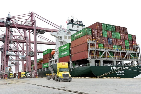 SP-ITC và hành trình vượt bão COVID-19