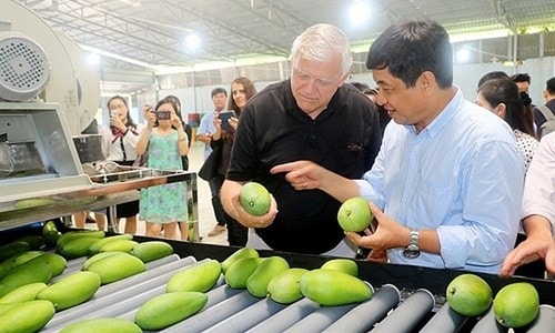 Nông sản “bắt” tín hiệu từ thị trường xuất khẩu