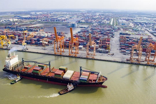 Hải Phòng đầu tư xây dựng 2 bến container gần 6500 tỷ đồng