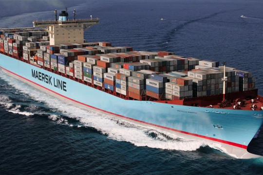 Cục Hàng hải kiểm tra giá vận chuyển container của 12 hãng tàu ngoại