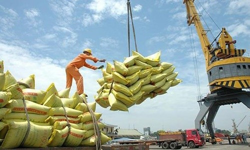 Xuất khẩu gạo tiếp tục khởi sắc?