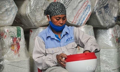 Xuất khẩu trực tuyến: Không còn là câu chuyện cá lớn nuốt cá bé