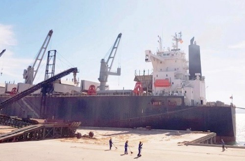 Xuất khẩu hơn 160.000 tấn dăm gỗ qua cảng Vũng Áng