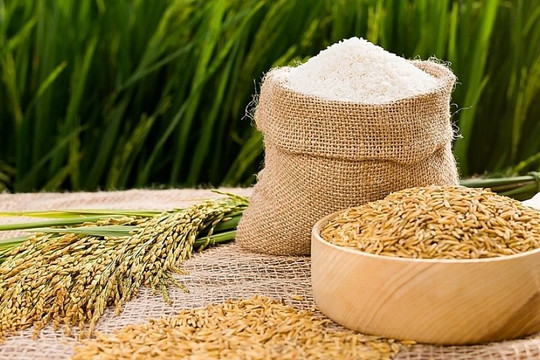 Thêm cơ hội cho gạo Việt sang Philippines