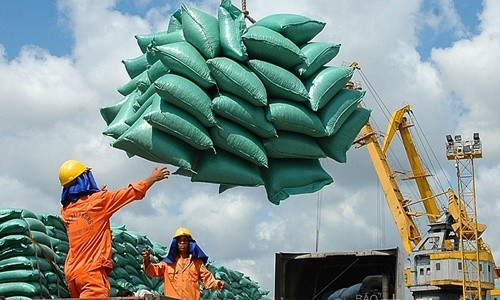 Xuất khẩu gạo được kỳ vọng tăng trưởng vào cuối năm