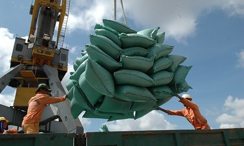 Xuất khẩu gạo vượt bão COVID-19