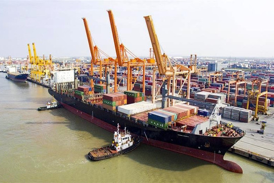 Cảng Hải Phòng đón 104 lượt tàu container