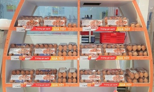 Hòa Phát cung cấp trứng gà sạch vào hơn 100 siêu thị, cửa hàng tại Hà Nội