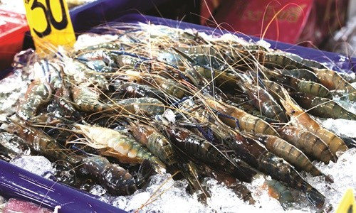 Removing a yellow card for Vietnam’s seafood: Ending violations of IUU fishing regulations in 2022