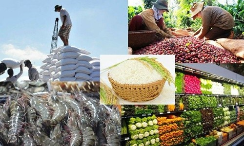 Chính thức ra mắt diễn đàn kết nối nông sản Việt