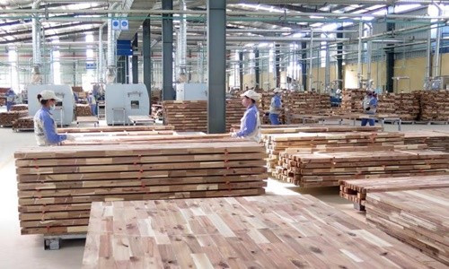 Chống đứt gãy nguồn cung ứng nguyên liệu gỗ