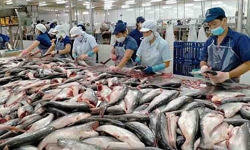 Nhiều doanh nghiệp xuất khẩu cá tra, basa của Việt Nam không bị áp thuế chống bán phá giá của Hoa Kỳ