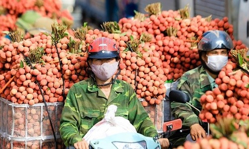 Thuận lợi hoá quan hệ thương mại Việt - Trung