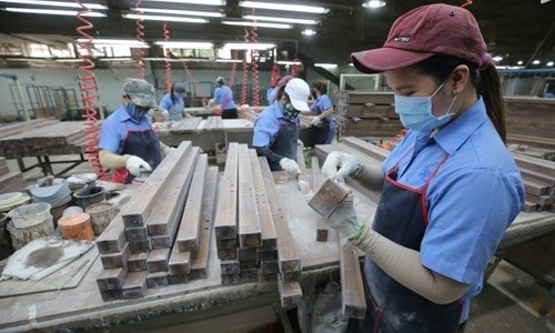 Doanh nghiệp gỗ vẽ lại chuỗi cung ứng nguyên liệu