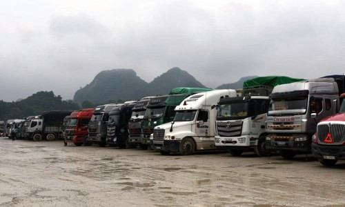Hải Phòng khuyến cáo doanh nghiệp xuất nhập khẩu qua cửa khẩu Chi Ma