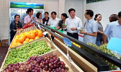 Kết nối, tìm kiếm thị trường tiêu thụ nông sản Nghệ An