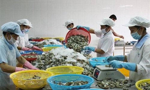 Tiếp đà phát triển, ngành tôm Việt đón sóng cơ hội trong năm 2022