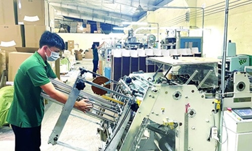 Nhiều đơn hàng xuất khẩu ngay từ đầu xuân