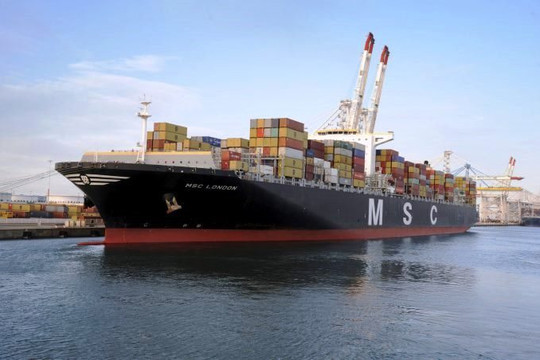 Zim và MSC nhanh chóng tăng công suất đội tàu container